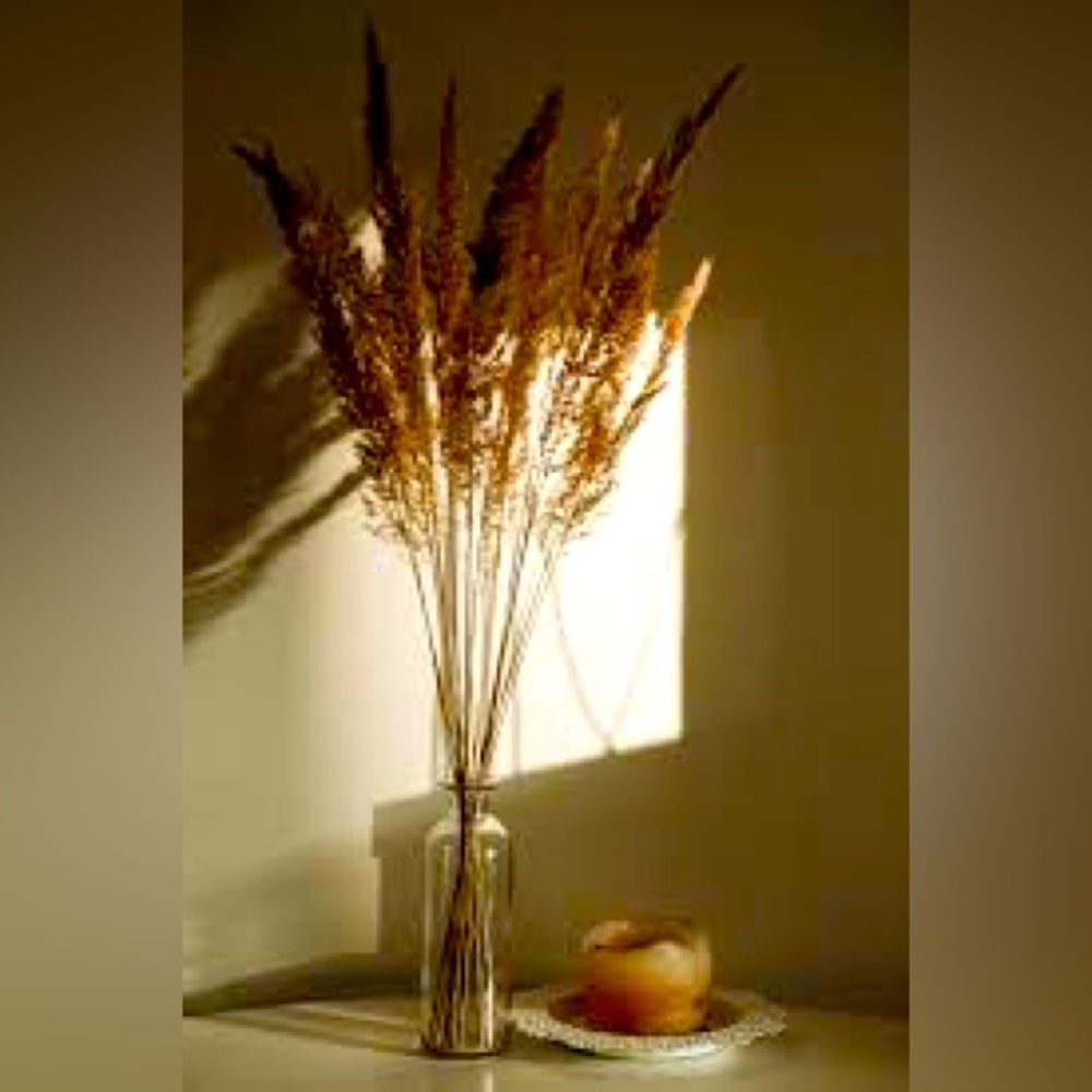 Live Show Unlisted Item. Sold As Is. Thank you for shopping with me.